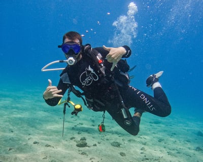 Guided Shore Dives in South Maui