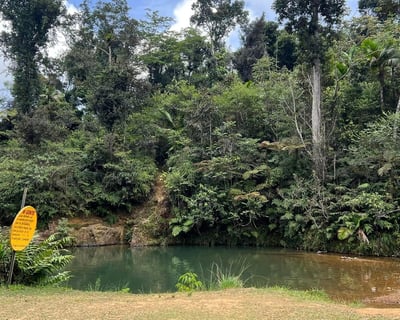 Full-Day South & Southwest Puerto Rico Guided Tour