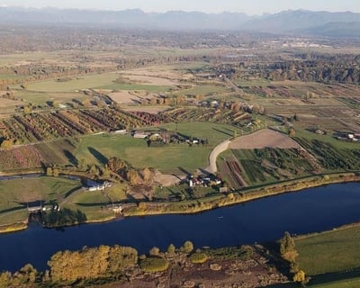Sunrise Hot Air Balloon Flight in Snohomish