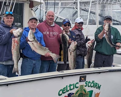 Wreck & Bottom Fishing Charter in Belmar