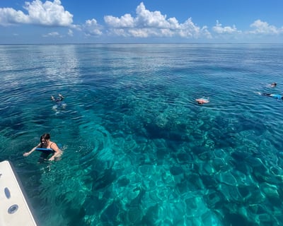 2-Hour Reef Snorkel in Key West