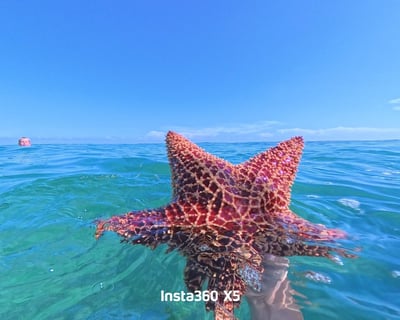 Morning Swim Cruise in Marathon