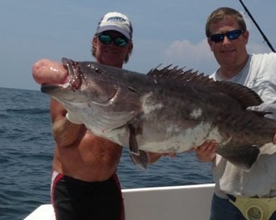 Deep Sea Fishing Charter in Orange Beach