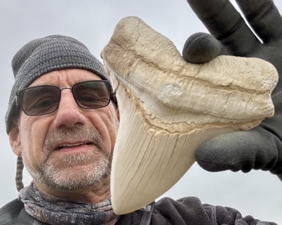 3-Hour Guided Fossil Discovery in Bakersfield