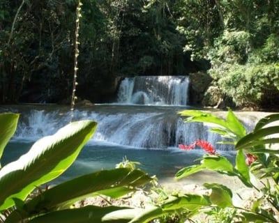 Jamaica South Coast 8-Hour Guided Tour
