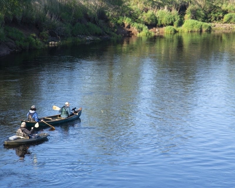 Single Kayak Rental on Cachuma Lake Near Santa Barbara