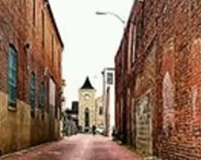 Historic Alleyways Walking Tour in Washington, DC