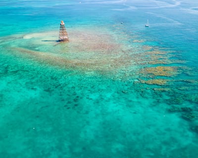 4-Hour Private Boat Charter in Key West
