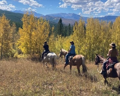 Private 8-9 Hour Horseback Ride & Grand Teton Tour