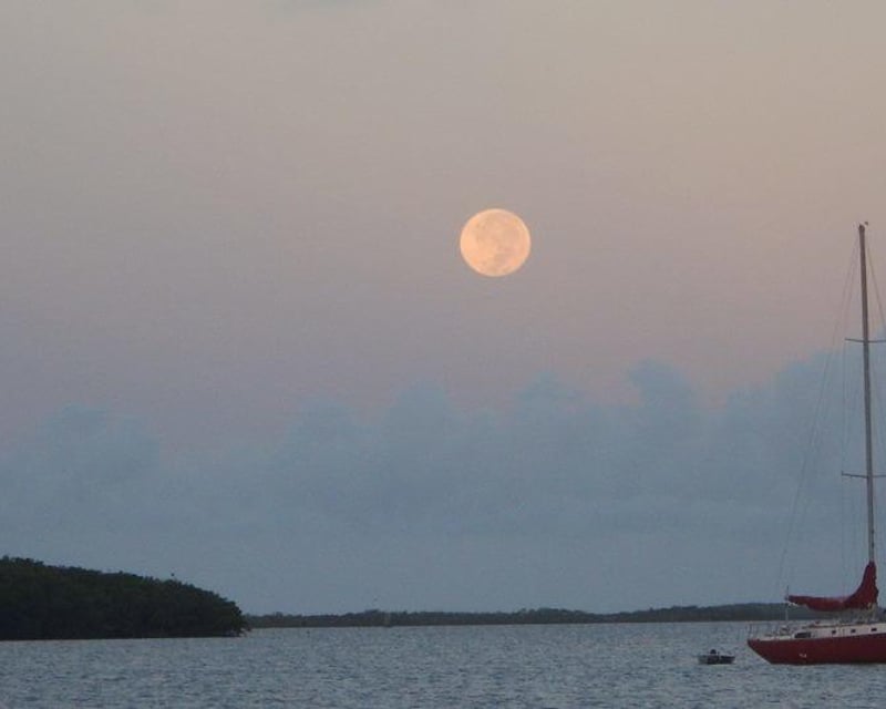 Full-Day 34' Catalina Sailboat Rental in Key Largo