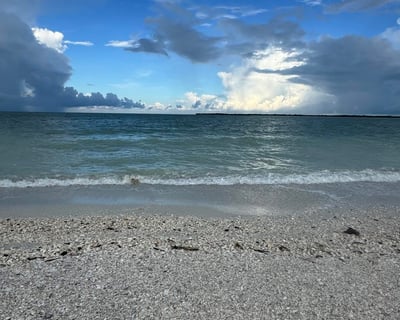 Six-Hour Shelling Tour in the Ten Thousand Islands