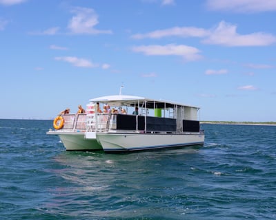 Panama City Beach Dolphin Sightseeing Cruise