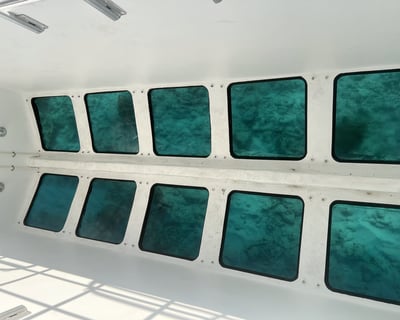 Explore the Underwater World on a 2-Hour Glass Bottom Boat