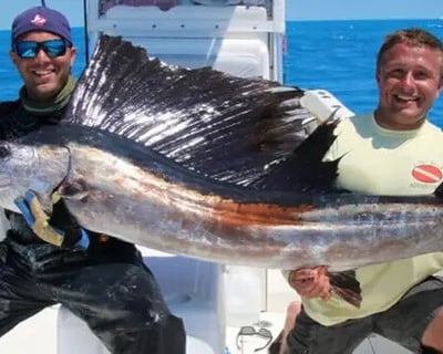 Sailfish Fishing Charter in Key West