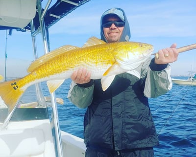 Afternoon Inshore Fishing Charter From Gulf Breeze