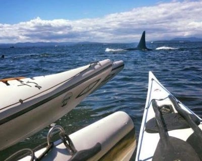 San Juan Island Full-Day Kayak Tour