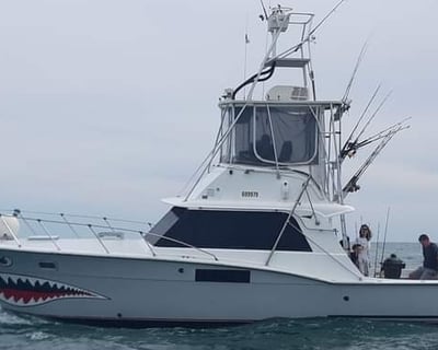 Fishing Charter in Orange Beach on a 36' Hatteras