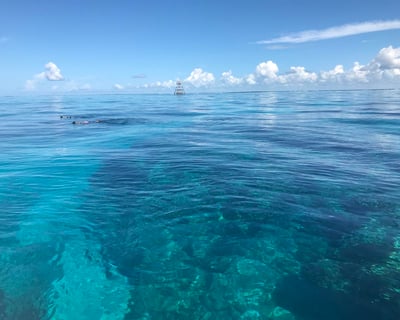 Key Largo Private Snorkel & Scuba Charter