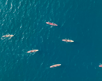 4-Hour Guided Kayak Tour of Tomales Bay