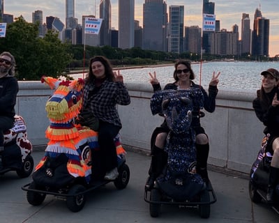 2-Hour Chicago Rydable Tour
