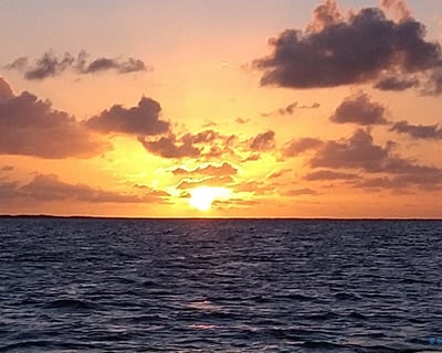 Key Largo Sunset Cruise