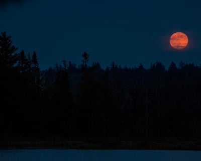 Full Moon Guided Canoe Tour on Stony Creek Ponds