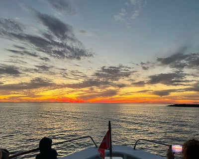 Private Dolphin Tour