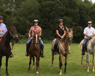 Private Guided Horseback Ride in Sorrento