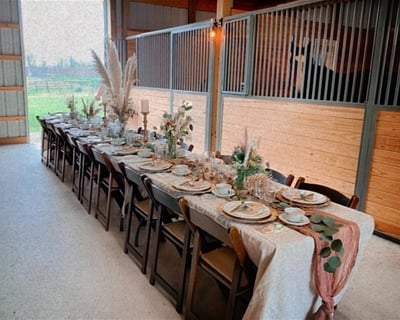 Coffee Tasting & Horses in a Barn