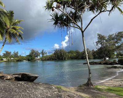 Reeds Bay Stand-Up Paddleboard Lesson in Hilo