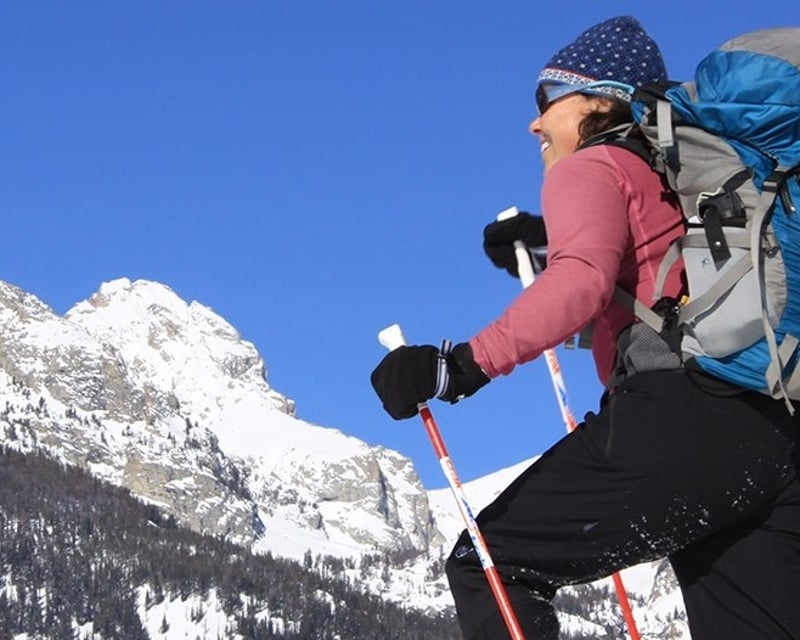 Private Naturalist-Guided Nature Tour in Jackson Hole