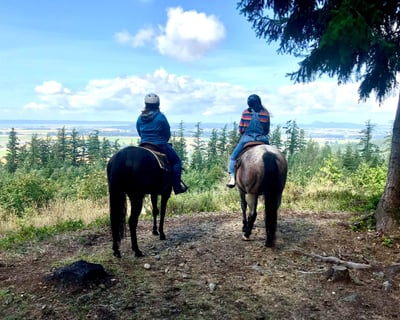 Private Mountain Trail Ride