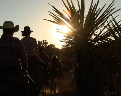 2-Hour Guided Horseback Ride in Joshua Tree National Park