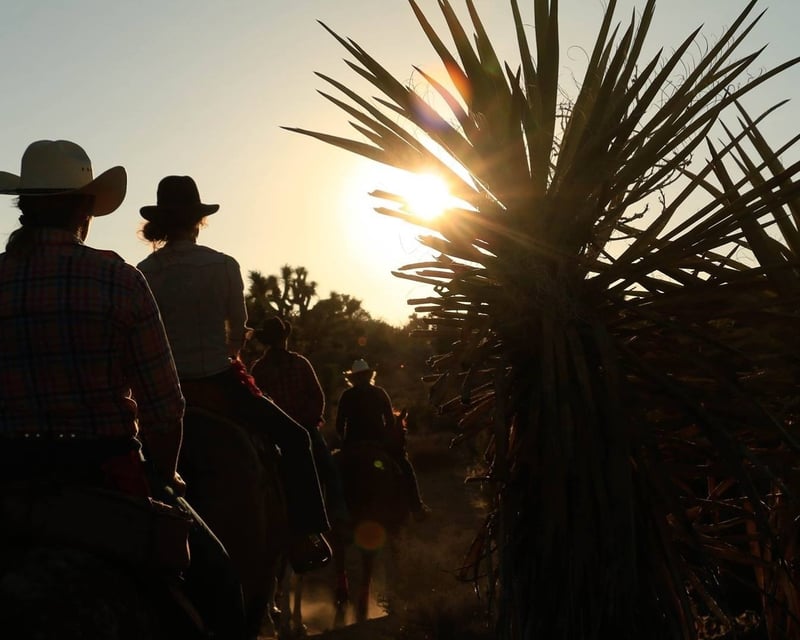 2-Hour Guided Horseback Ride in Joshua Tree National Park