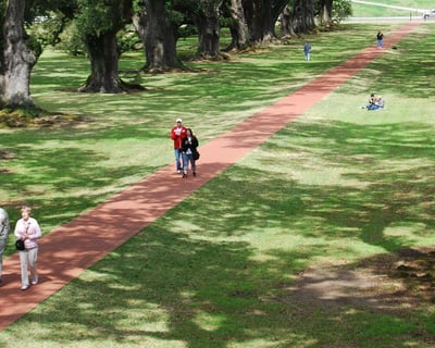 Oak Alley Plantation & Swamp Airboat Tour