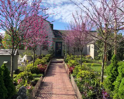 Morning Coffee Ride to GroundSwell Cafe by Bike or E-Bike