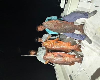Night Cubera Snapper Fishing Charter in Key West