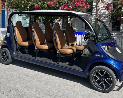 6-Seat GEM Electric Car Rental in the Florida Keys