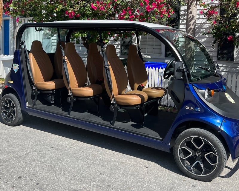6-Seat GEM Electric Car Rental in the Florida Keys