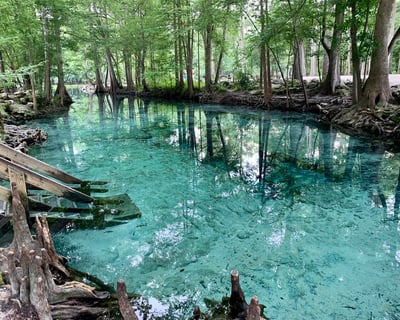 Ginnie Springs Freshwater Dive