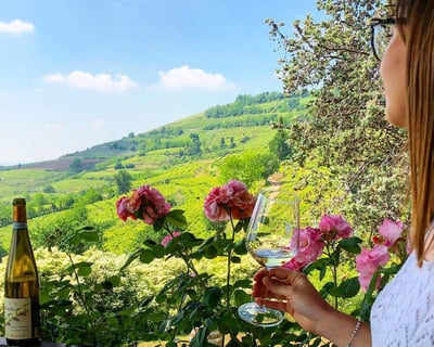 Prosecco Hills Full-Day Wine Tour