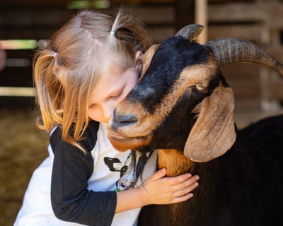 Meet Rescued Animals on a Child-Focused Tour in Watkins Glen