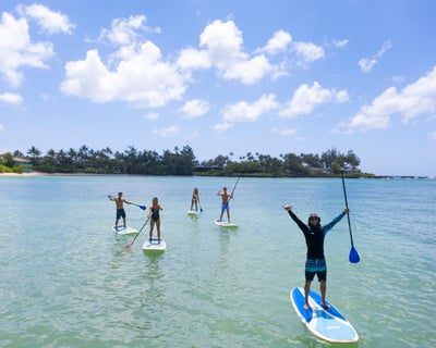 Small Group SUP Lesson & Turtle Spotting at Kawela