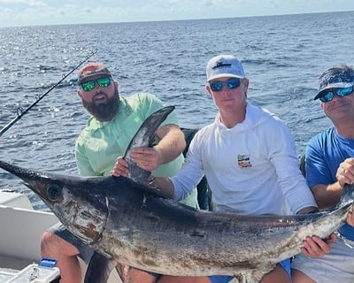 Swordfishing Charter in Panama City Beach