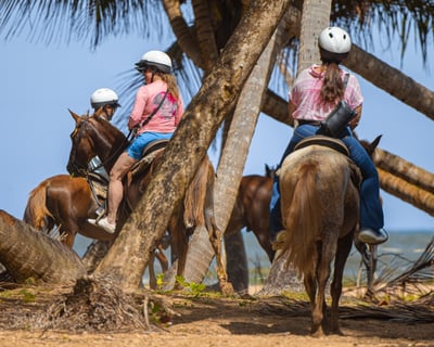 Guided Horseback Ride in Humacao