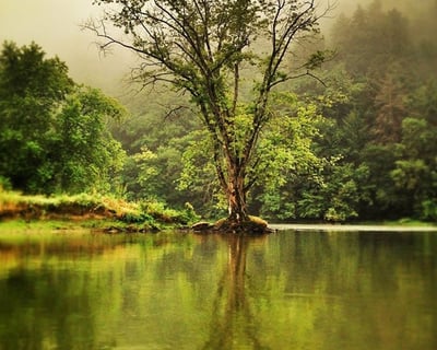 1-7 Day Allegheny River Kayak Rental