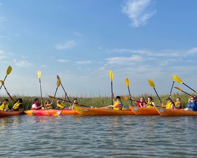 Hilton Head Kayak Tour: Tidal Creek Exploration