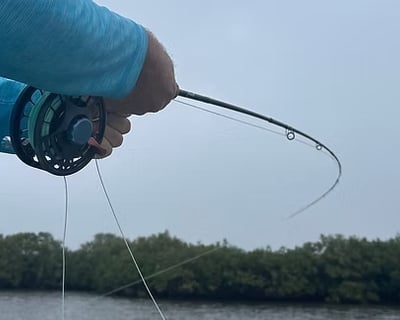 6-Hour Fly Fishing Charter in Crystal River