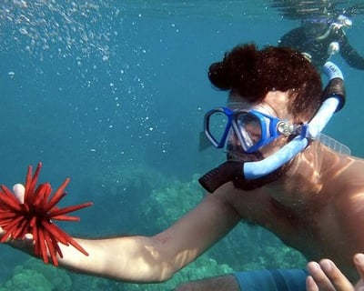Private Kayak, Snorkel & Whale Watch in Olowalu