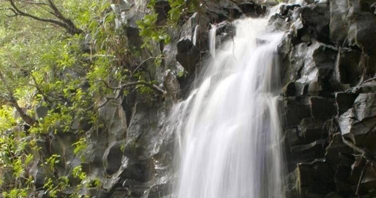 Maui 3 in 1: Kayak, Reef Snorkel & Waterfall